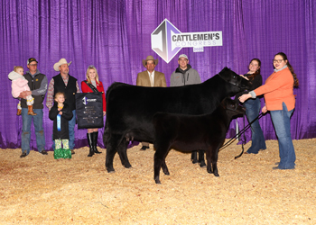 Reserve Grand Champion Cow-calf Pair