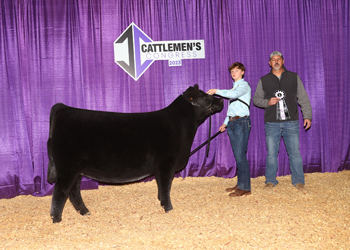 Reserve Intermediate Champion Heifer