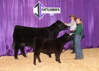 Reserve Senior Champion Female