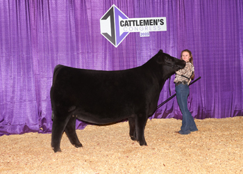 Reserve Junior Champion Heifer-Division 1