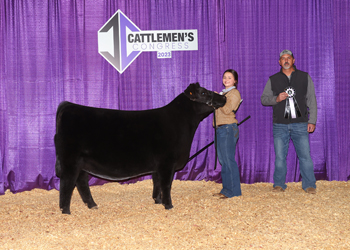 Reserve Senior Heifer Calf Champion-Division 2