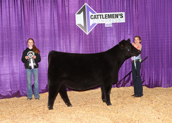 Reserve Senior Heifer Calf Champion-Division 1