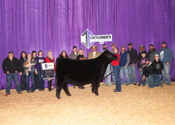 Grand Champion Female