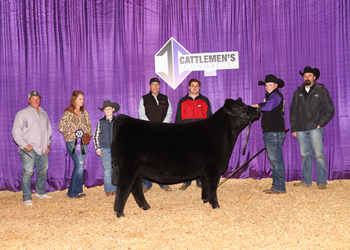 Senior Heifer Calf Champion-Division 1