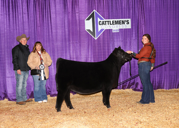 Reserve Junior Heifer Calf Champion-Division 2