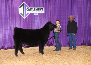 Junior Heifer Calf Champion-Division 4