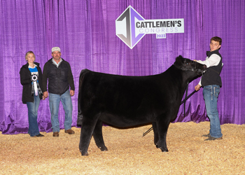 Reserve Junior Heifer Calf Champion-Division 4