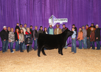 Reserve Grand Champion Female