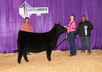 Reserve Junior Heifer Calf Champion-Division 3