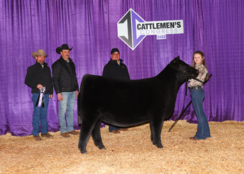 Junior Heifer Calf Champion-Division 2