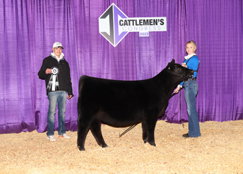 Reserve Junior Heifer Calf Champion-Division 1