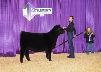 Junior Heifer Calf Champion-Division 1