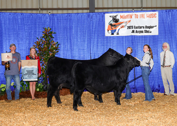 Reserve Grand Champion Cow-calf Pair