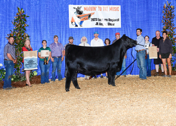 Grand Champion Bred-and-owned Female