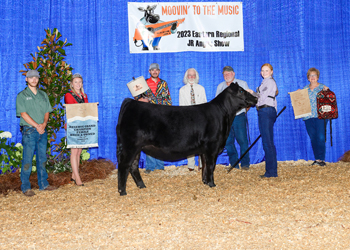 Reserve Grand Champion Bred-and-owned Female