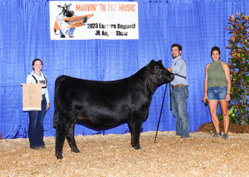 Owned Intermediate Champion Heifer