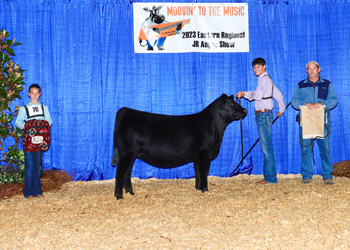 Bred-and-owned Senior Heifer Calf Champion