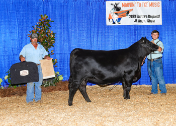 PGS Reserve Heifer Division 4