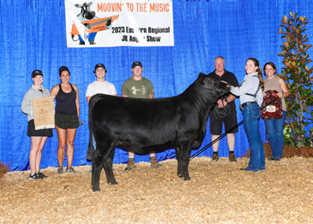 PGS Heifer Division 2