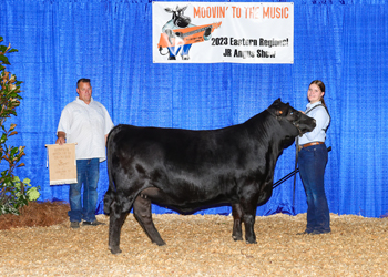 PGS Reserve Heifer Division 3