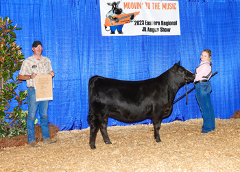 PGS Reserve Heifer Division 2