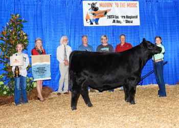 Reserve Grand Champion Steer