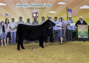 Grand Champion Female