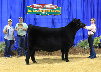 Reserve Grand Champion Female