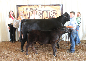 Reserve Grand Champion Bred-and-owned Cow-calf Pair