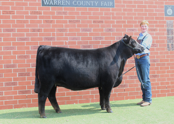 Bred-and-owned Reserve Senior Champion Female