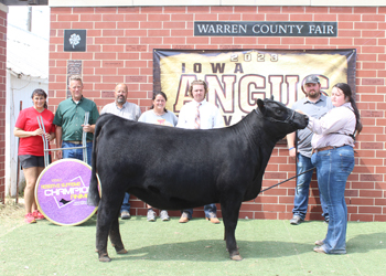 Grand Champion Bred-and-owned Female