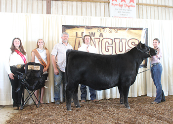 Reserve Grand Champion Bred-and-owned Female