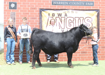 Reserve Grand Champion Bred-and-owned Bull