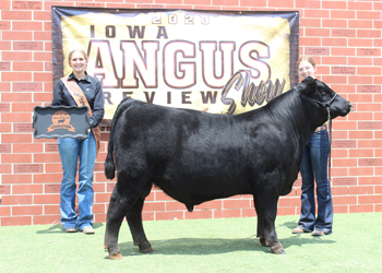 Bred-and-owned Senior Bull Calf Champion