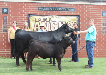 Reserve Grand Champion Cow-calf Pair