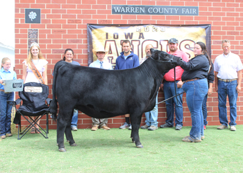 Reserve Grand Champion Female