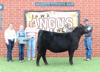 Senior Heifer Calf Champion