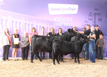 Reserve Grand Champion Cow-calf Pair