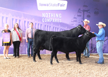 Grand Champion Cow-calf Pair