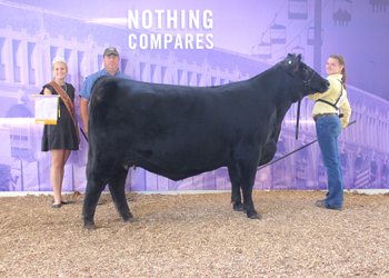 Reserve Senior Champion Female