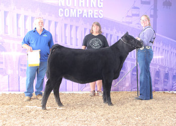 Reserve Junior Heifer Calf Champion