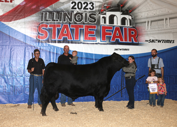 Reserve Senior Champion Bull