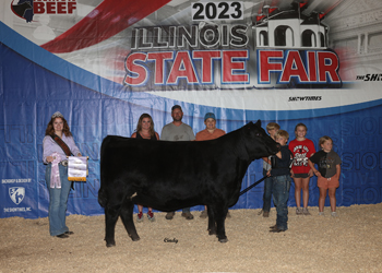 Reserve Senior Champion Female