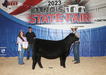 Reserve Intermediate Champion Heifer