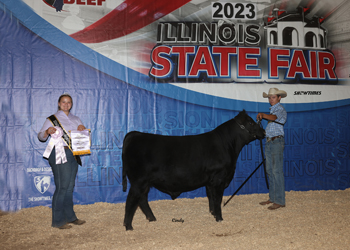 Reserve Senior Bull Calf Champion