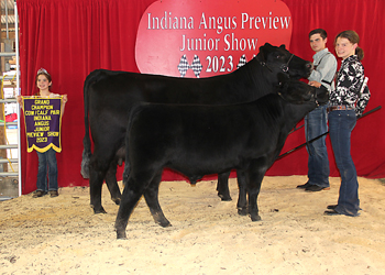 Grand Champion Cow-calf Pair