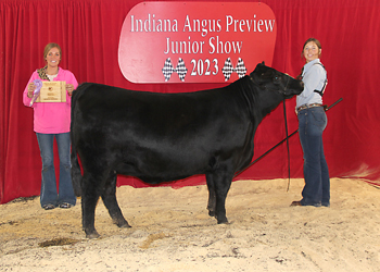 Owned Reserve Senior Champion Female