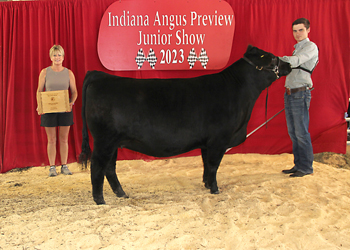 Bred-and-owned Senior Champion Female