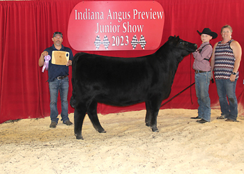 Owned Reserve Late Junior Champion Heifer