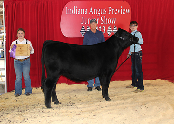 Bred-and-owned Intermediate Champion Heifer